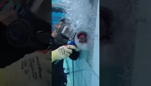 Когда в инструкции написано что диск с подачей воды. 😀